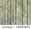 background, texture, wooden panel 19994603