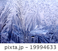 Icy ornate pattern of thin ice on the window 19994633