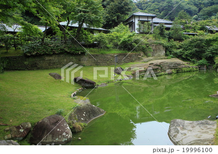 円覚寺妙香池 円覚寺妙香池 19996100