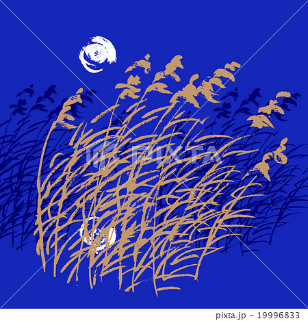 Sketch of bulrush 19996833