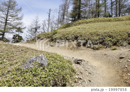 小雲取山の分岐 19997858