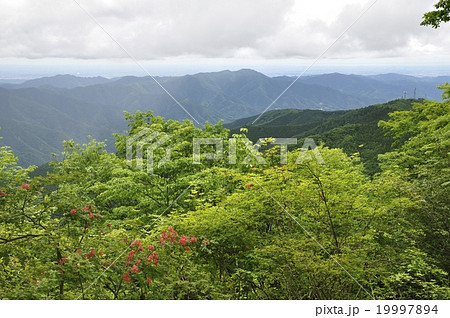 権現山から生藤山と陣馬山と高尾山 権現山から生藤山と陣馬山と高尾山 19997894