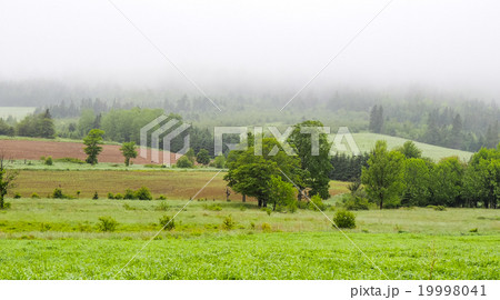Rolling hills. Fields meadows under fog low cloud. 19998041