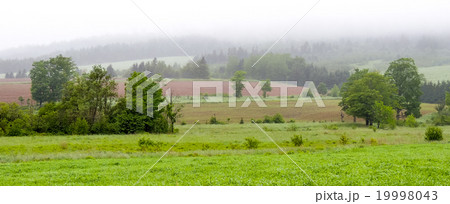 Rolling hills. Fields meadows under fog low cloud. 19998043