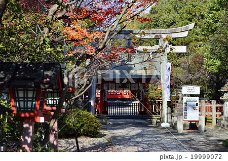 車折神社 秋 19999072