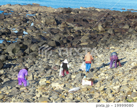 ごみ拾い ごみ拾い 19999080