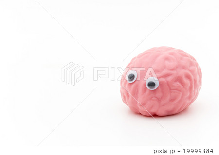 目玉付き脳みそ: wiggly-eyed brain 目玉付き脳みそ: wiggly-eyed brain 19999384