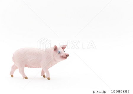 目玉シール付きブタのおもちゃ:wiggly-eyed pig toy 目玉シール付きブタのおもちゃ:wiggly-eyed pig toy 19999392