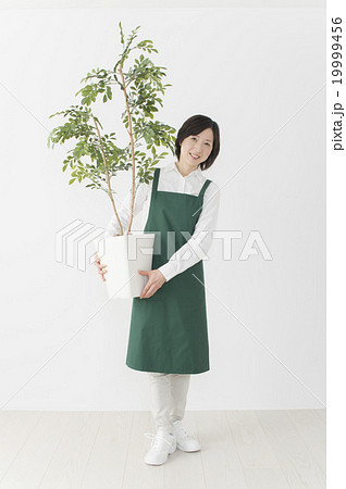 ミドルのお花屋さん ミドルのお花屋さん 19999456