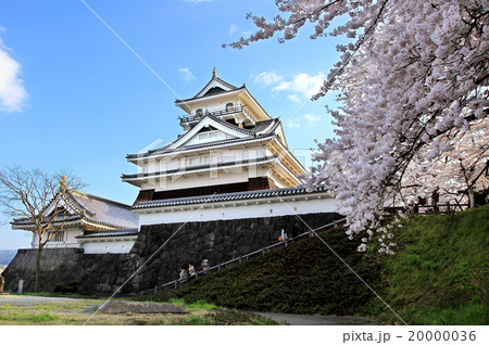 上山城と桜 20000036