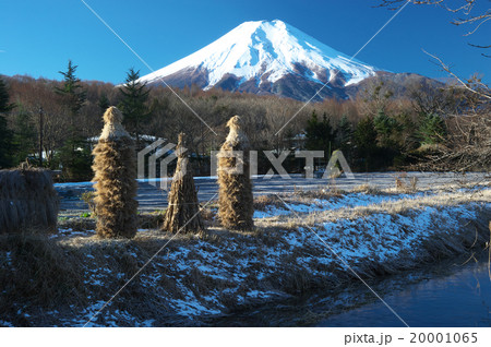 忍野村から見た冬の富士山 忍野村から見た冬の富士山 20001065