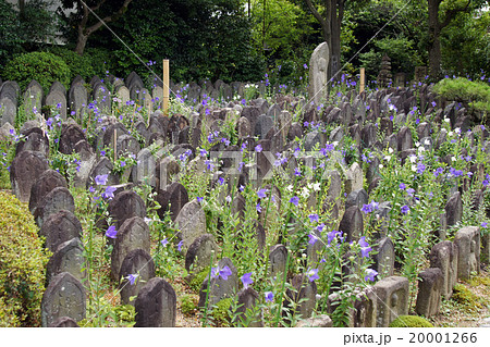 元興寺・浮図田 20001266