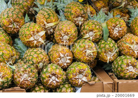 Fresh pineapples for sale in the market 20001669