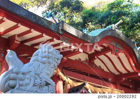 来宮神社 阿豆佐和気神社 パワースポット 20002292