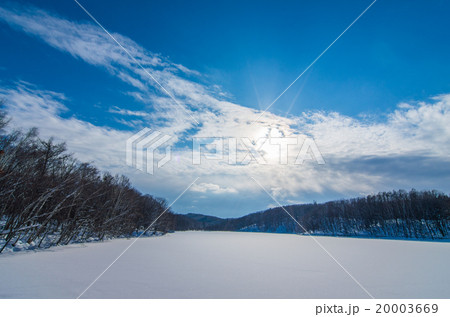 西岡水源池公園の冬 20003669