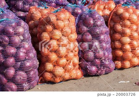 Fresh organic onions to sale at the farmers market 20003726
