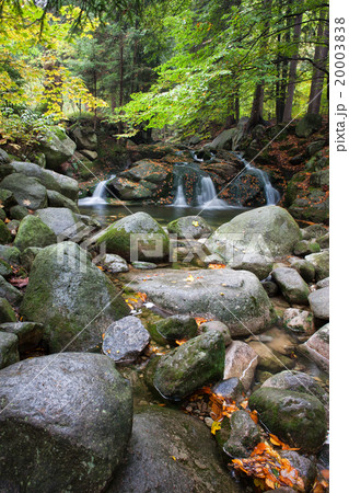 Creek with Small Falls in Mountain Forest 20003838