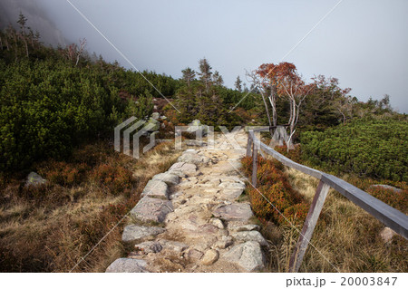 Stone Path in the Mountains 20003847