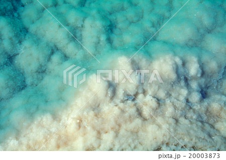 Texture of Dead sea. Salt sea shore 20003873