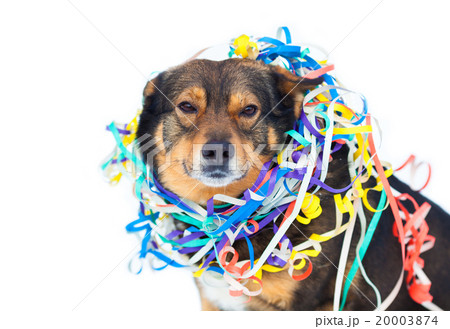 og entangled in colorful streamer 20003874