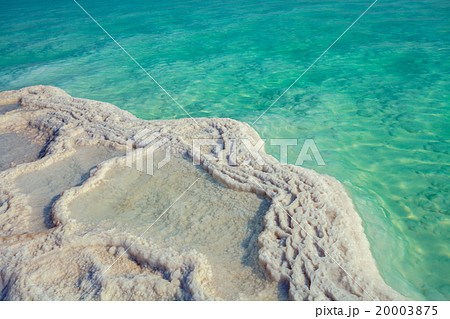 Texture of Dead sea. Salt sea shore 20003875