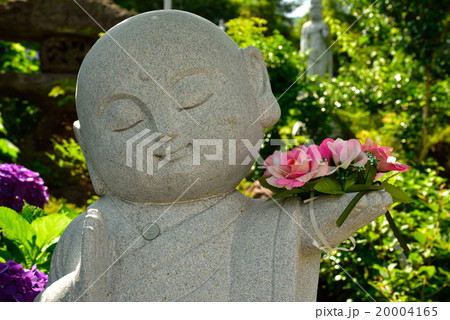 観音寺の紫陽花とお地蔵さん 20004165
