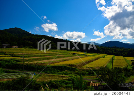 奥出雲　大原新田の棚田と青空 20004442