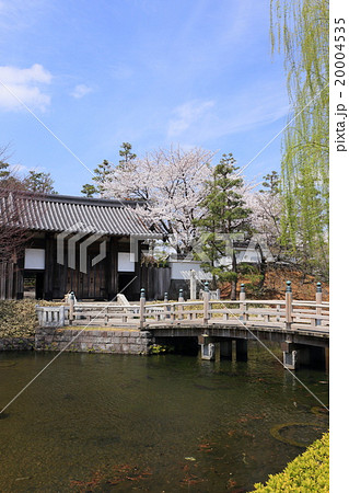 桜咲く忍城 20004535