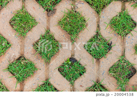 Brick floors with grass background 20004538