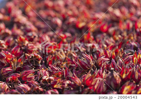 dry roselle dry roselle 20004543