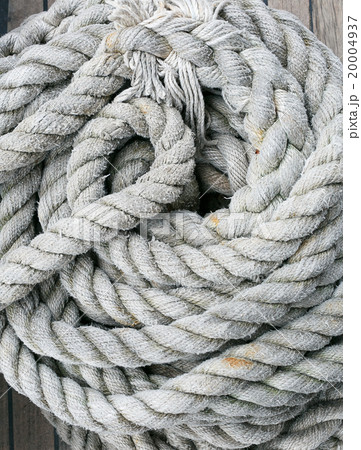 Background texture of coiled rope Background texture of coiled rope 20004937