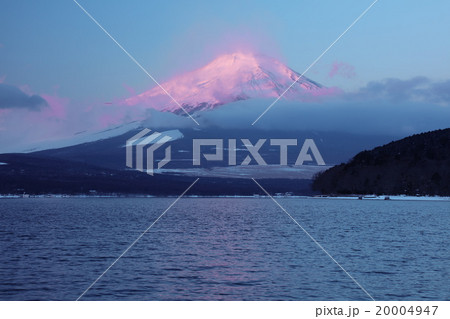 紅富士 紅富士 20004947