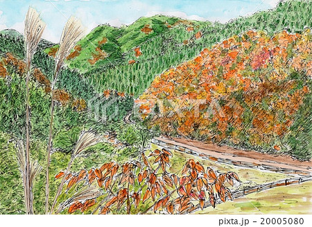 紅葉の山道 紅葉の山道 20005080