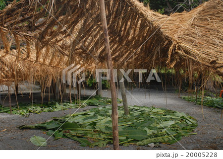 塩屋の海神祭の神事が行われる屋古集落の会場 塩屋の海神祭の神事が行われる屋古集落の会場 20005228