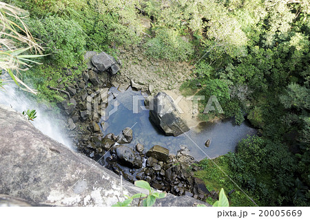 西表島　ピナイサーラの滝の滝壺 20005669