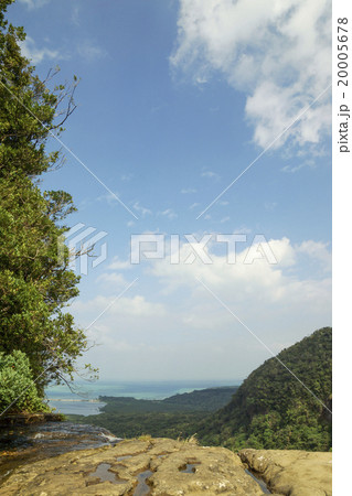 西表島　ピナイサーラの滝に登って空を見上げる 20005678