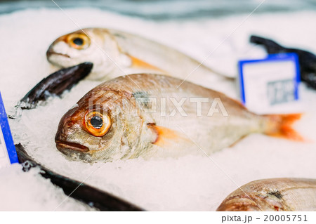 Fresh red fish on ice on market store shop. 20005751