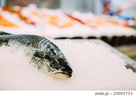 Fresh fish salmon on ice on market store shop. 20005753