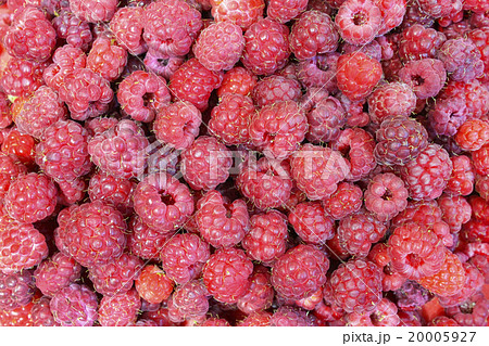 Red ripe raspberry 20005927