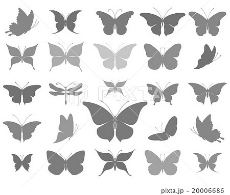 Butterflies graphic silhouettes Butterflies graphic silhouettes 20006686