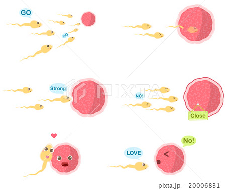 Funny cartoon sperm and an egg representing  20006831