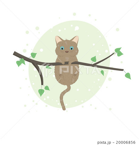cat on the tree 20006856