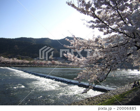 渡月橋・春 20006885