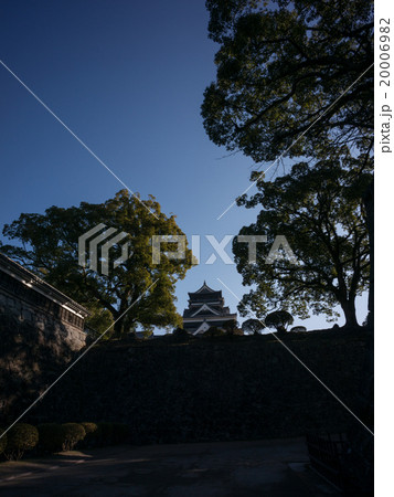 熊本城<朝> 20006982