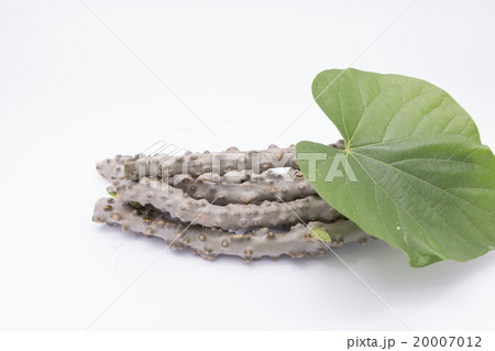heart leaf moonseed  herb for healthy 20007012
