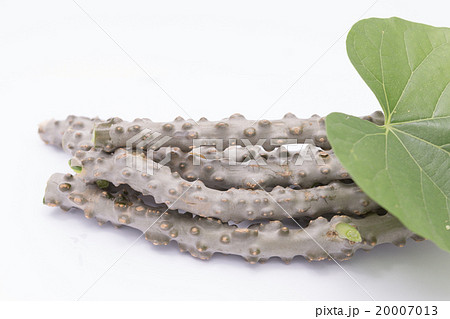 heart leaf moonseed  herb for healthy 20007013