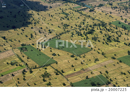 THAILAND ISAN BURI RAM LANDSCAPE FIELDS 20007225