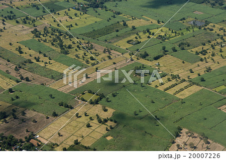THAILAND ISAN BURI RAM LANDSCAPE FIELDS 20007226