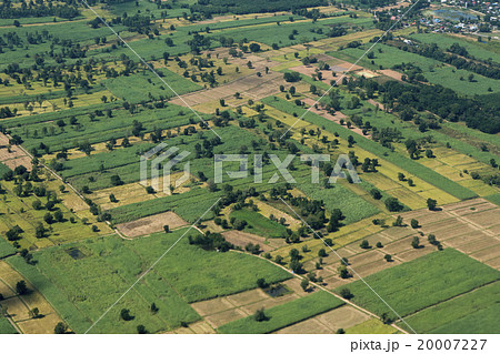 THAILAND ISAN BURI RAM LANDSCAPE FIELDS 20007227