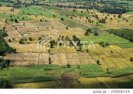 THAILAND ISAN BURI RAM LANDSCAPE FIELDS 20008239